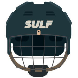 Hockey helmet.png