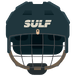 Hockey helmet.png